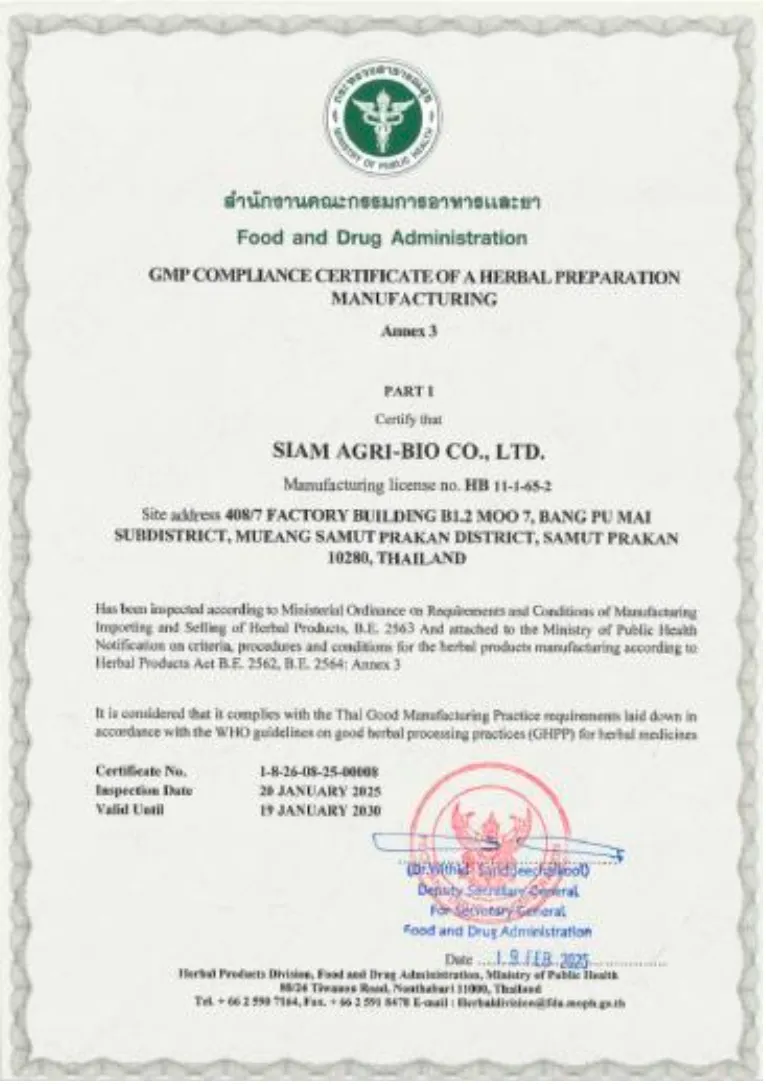 Thai GMP