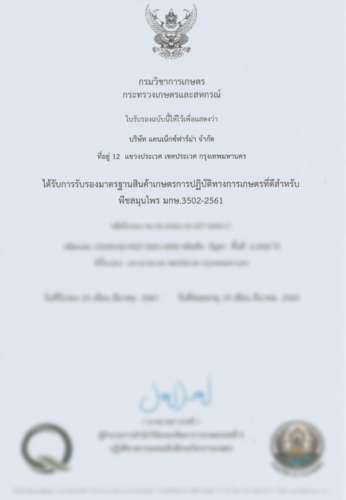 Manufacturing of Herbal Products Using Herbal Ingredients